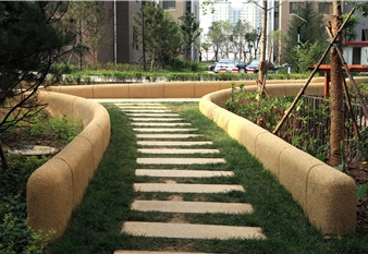 西安马路绿化
